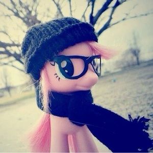 Meet your Posher, Mattie